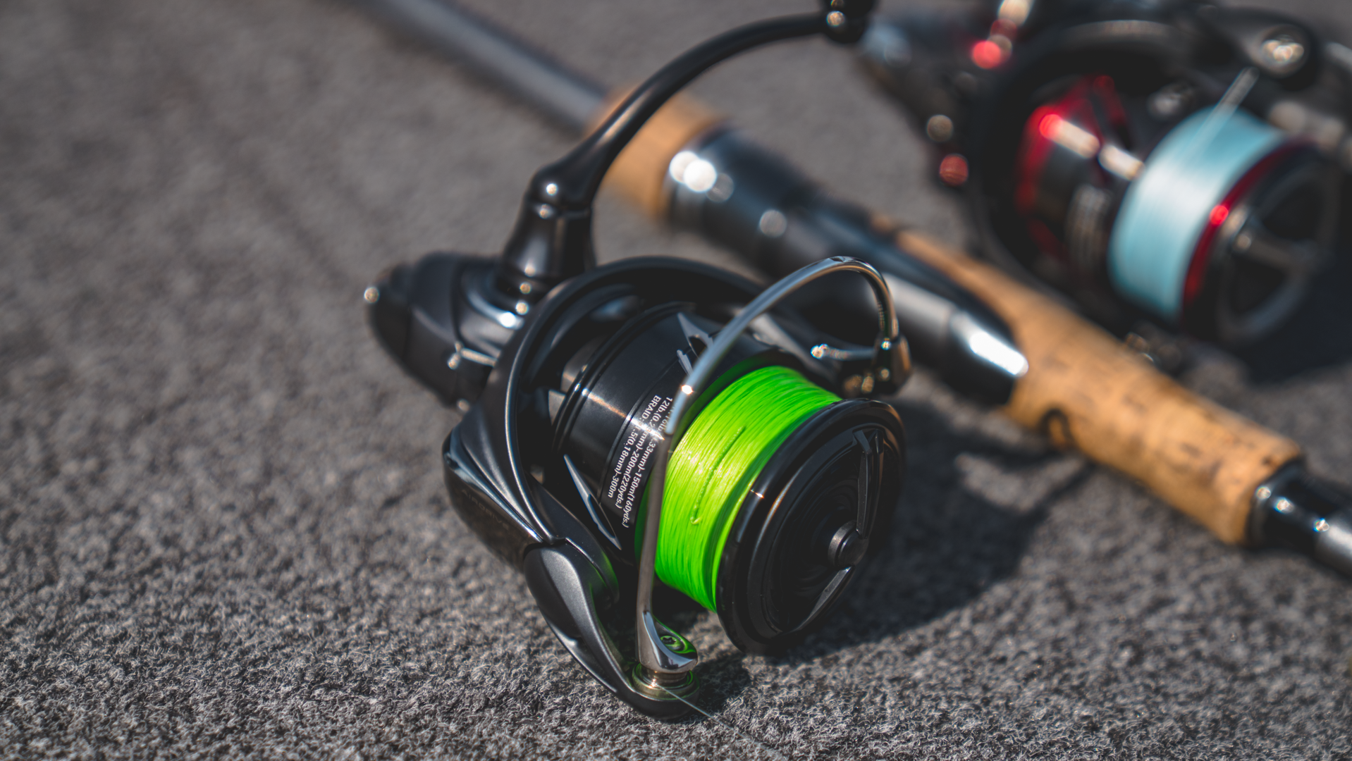 Daiwa Tatula Elite Spinning Reels (2024)