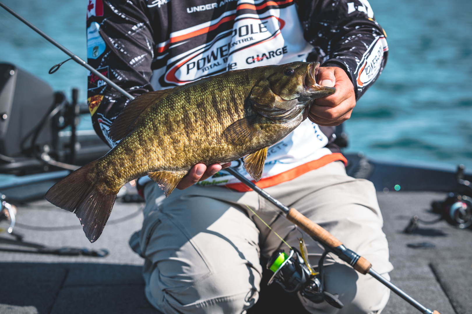 Daiwa Tatula Elite (2024)