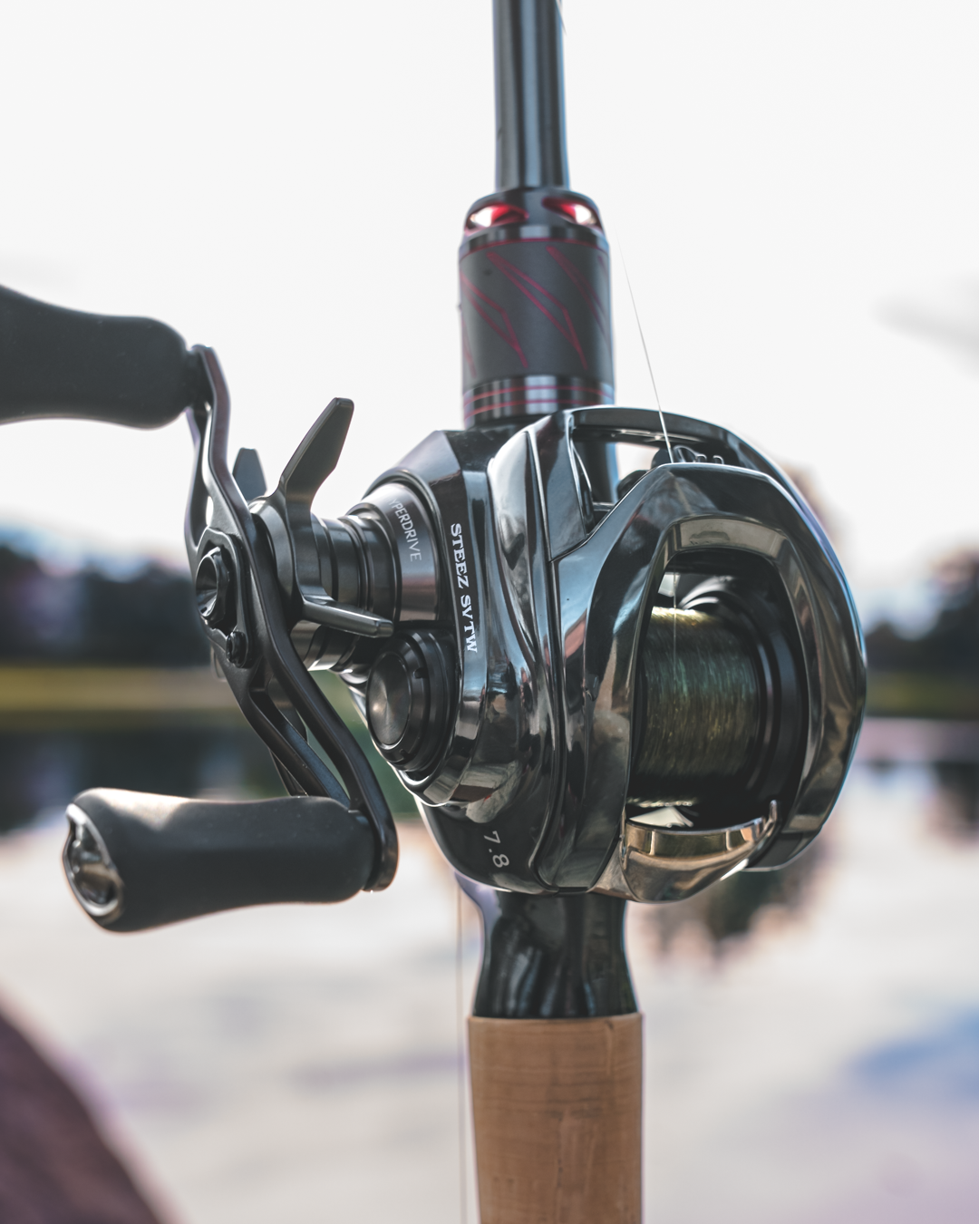 Daiwa Steez SV TW G Casting Reels (2024)