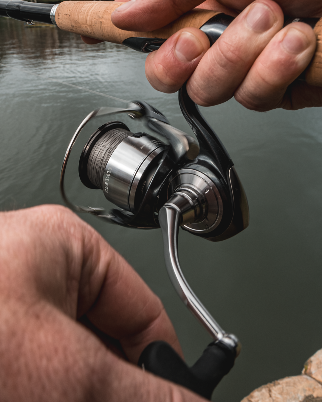Daiwa Certate LT (2024)