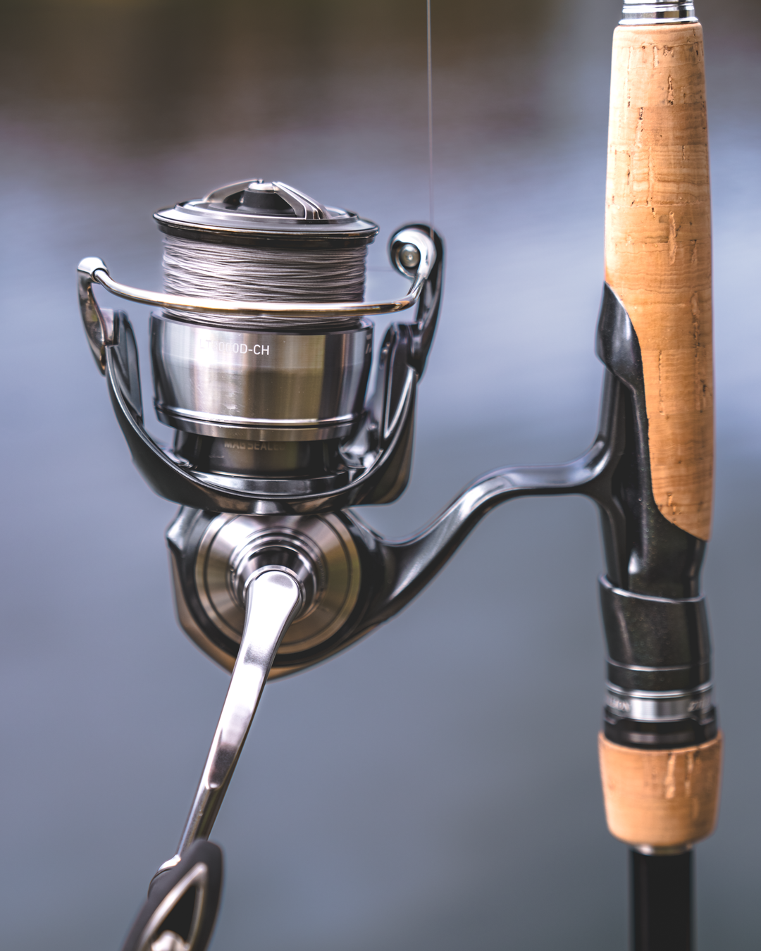 Daiwa Certate LT Spinning Reels (2024)