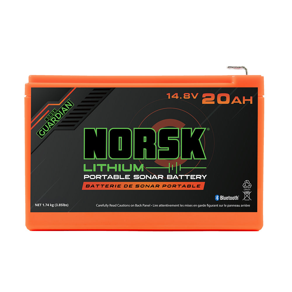 Norsk Lithium Batteries