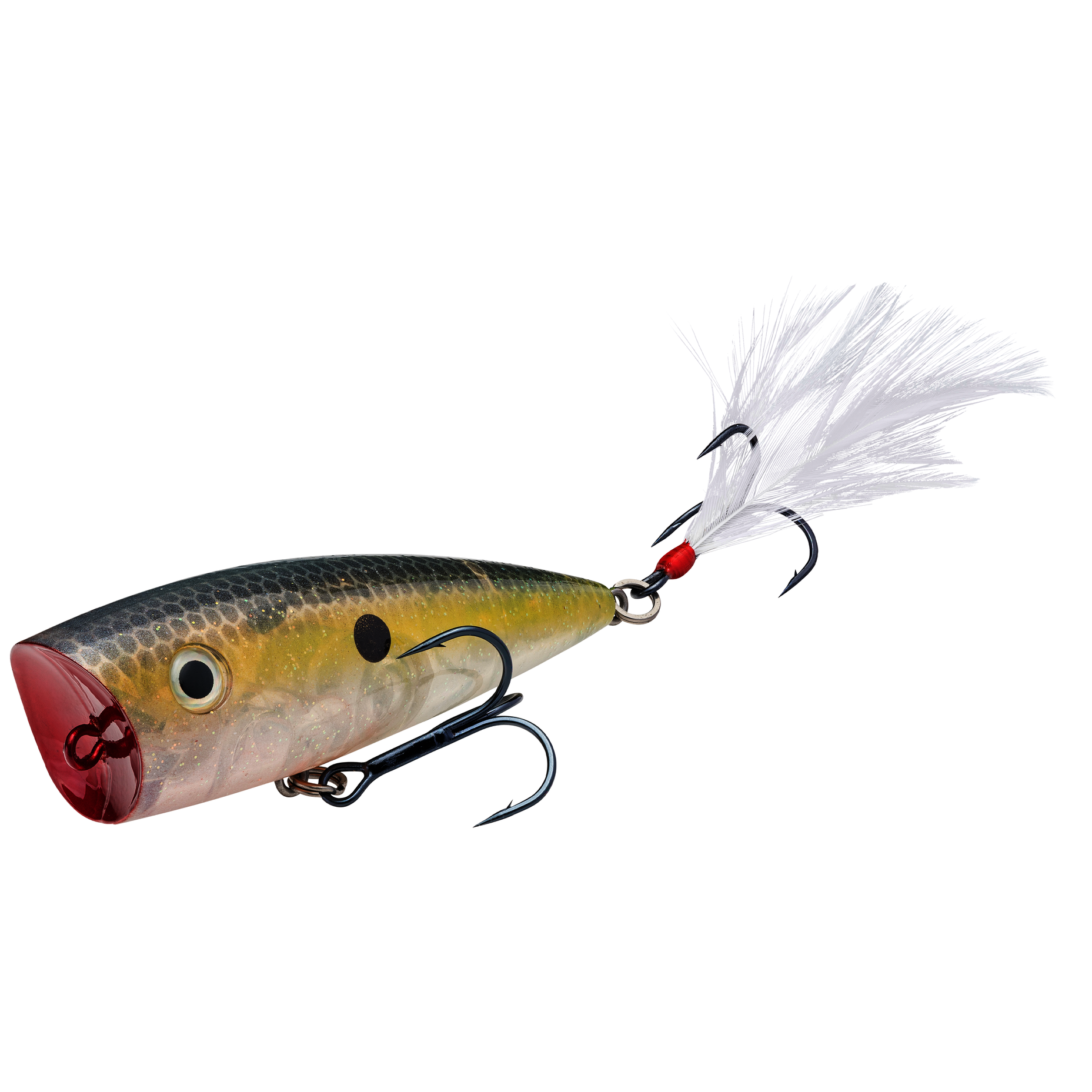 Strike King KVD Splash Popper