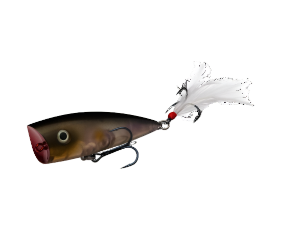 Strike King KVD Splash Popper
