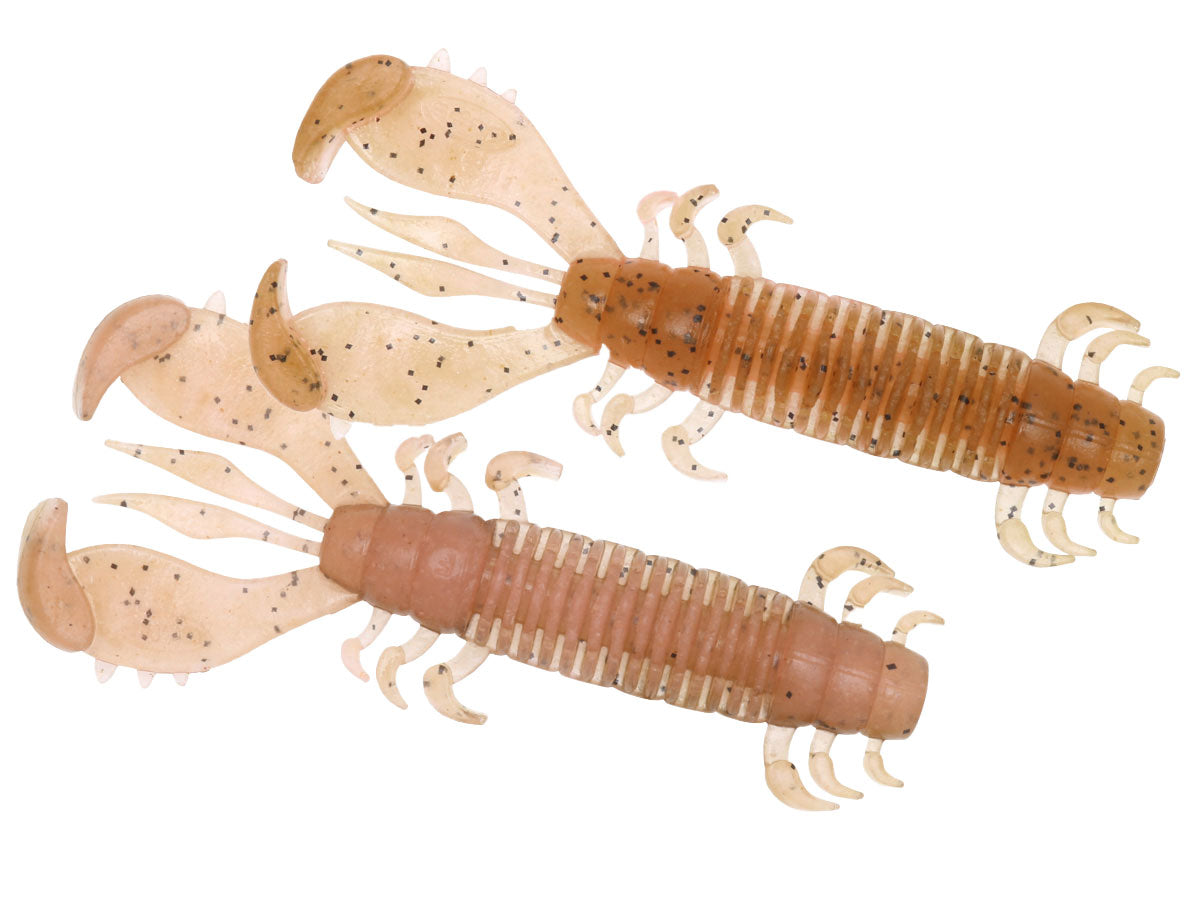 Deps MS Craw