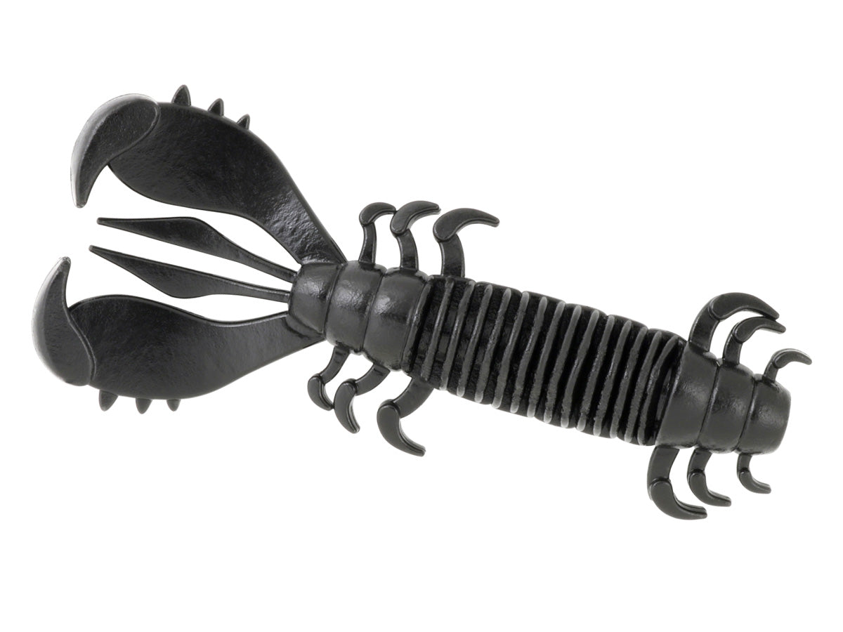 Deps MS Craw