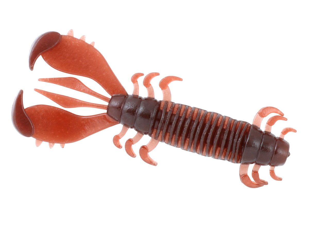 Deps MS Craw