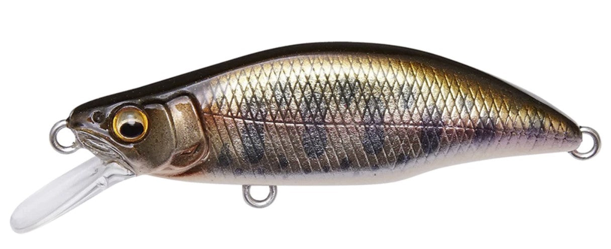 Megabass GH 64 Humpback (FS)