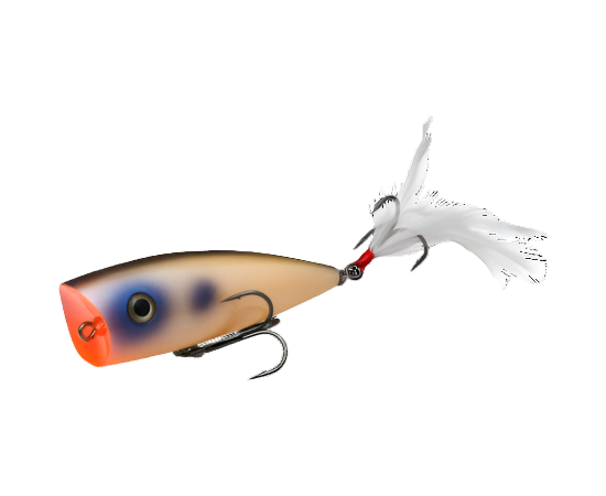 Strike King KVD Splash Popper