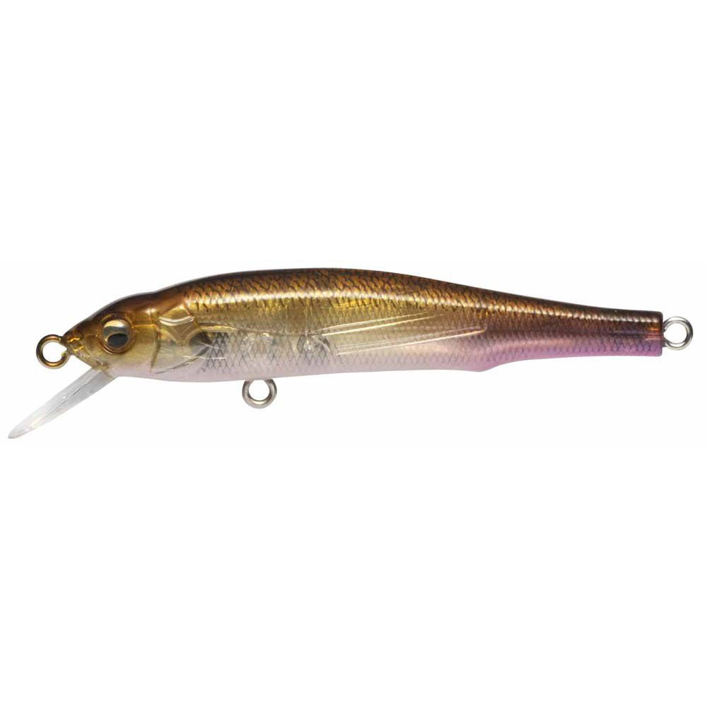 Megabass X-70 BFS (SP-C)
