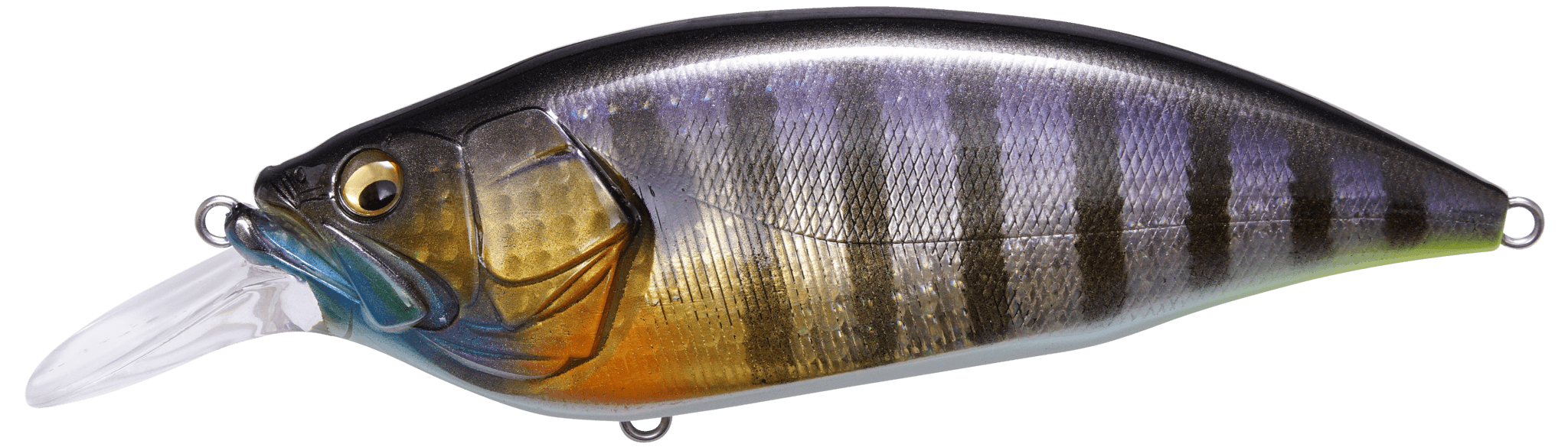 Megabass Big M 4.0 - GG Wild Gill BM - The Tackle Trap