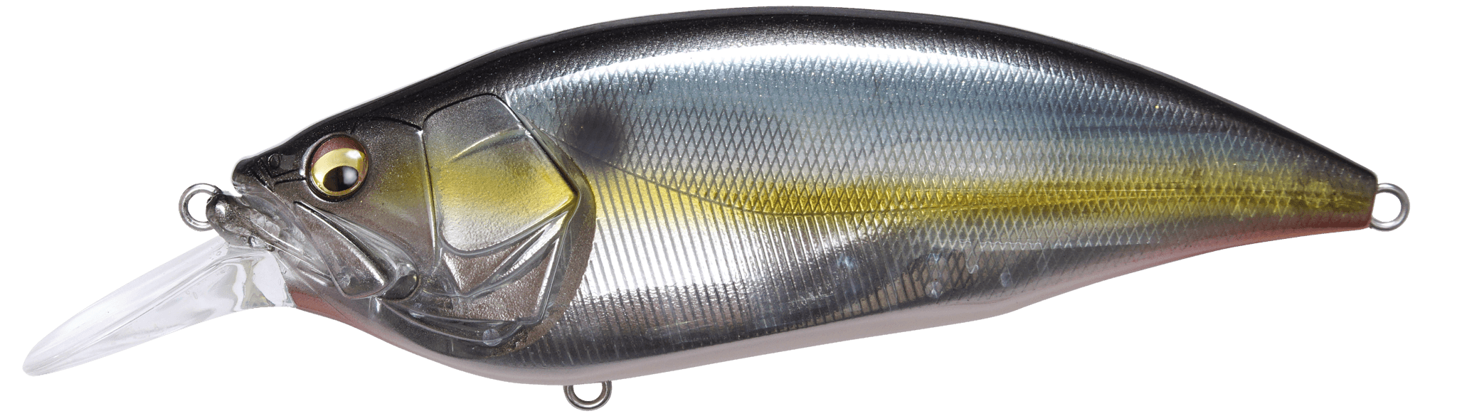 Megabass Big M 4.0 - Jukucho Shad - The Tackle Trap