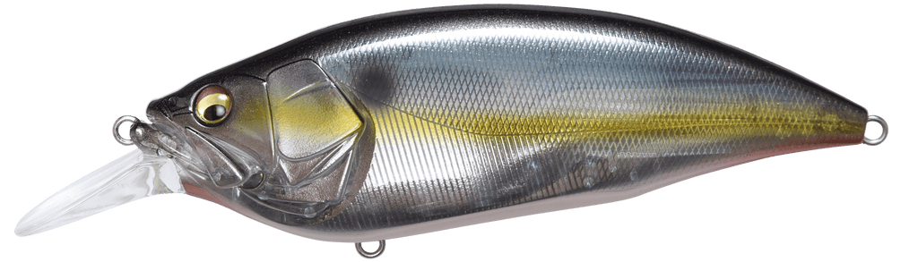 Big_20M_20Jukucho_20Shad_20_f6