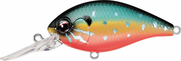 Evergreen Crankbait CR-10