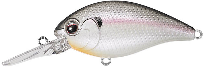 Evergreen Crankbait CR-10