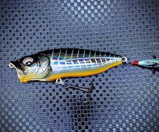Megabass Pop Max - (SP-C) GG Mid Night Bone LIMITED COLOR - The Tackle Trap