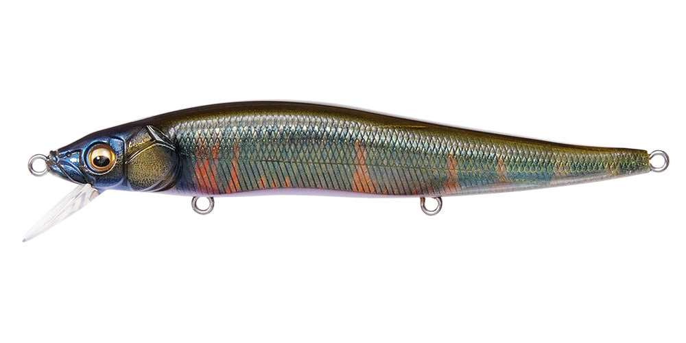 Megabass Vision 110 Limited (SP-C) FA