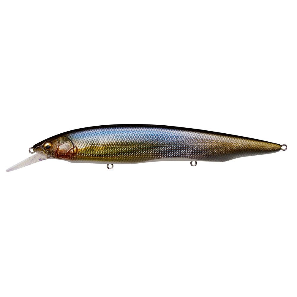 Megabass Kanata + 1