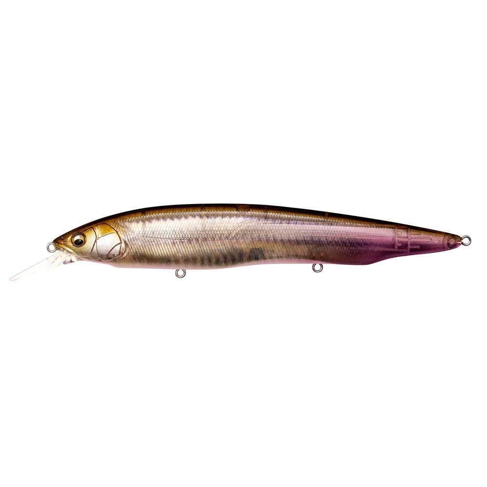 Megabass Kanata + 1