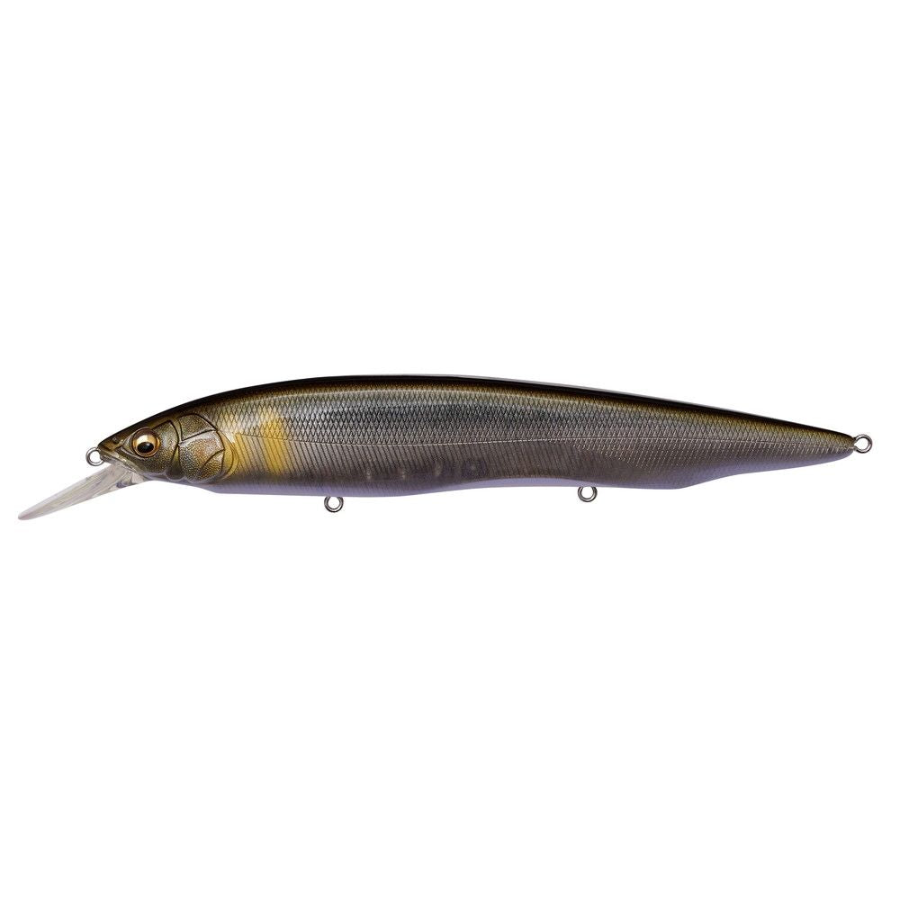 Megabass Kanata + 1