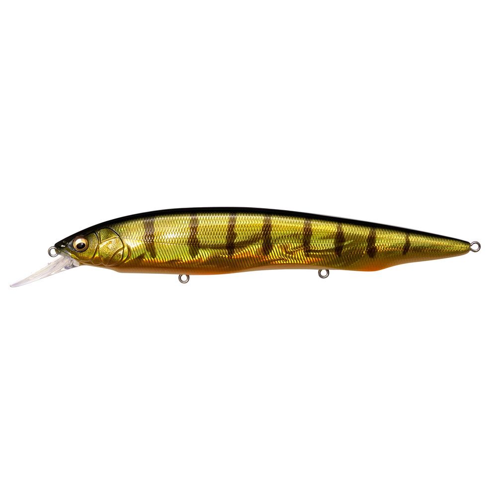 Megabass Kanata + 1