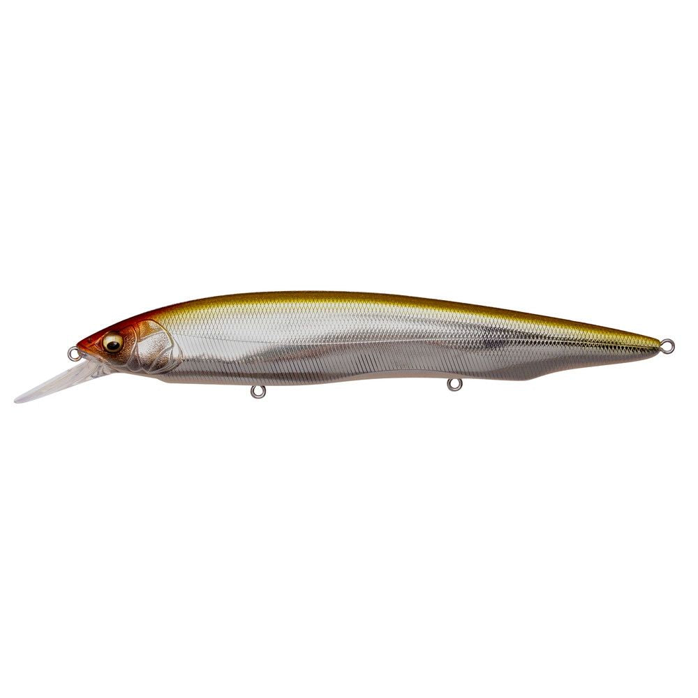 Megabass Kanata + 1