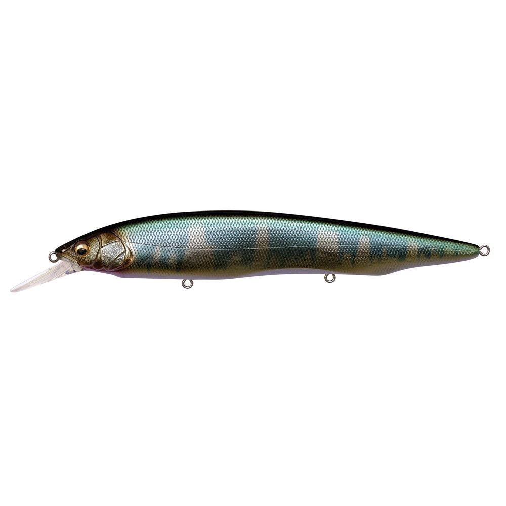 Megabass Kanata + 1