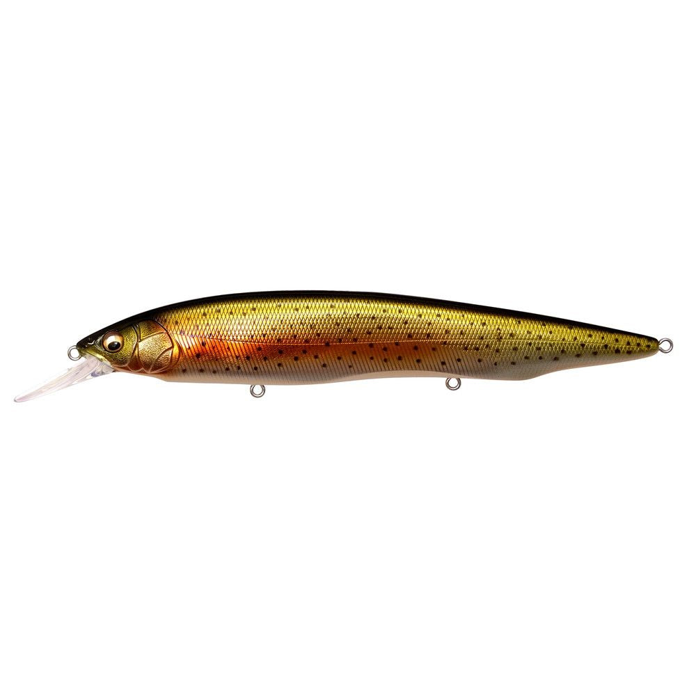 Megabass Kanata + 1