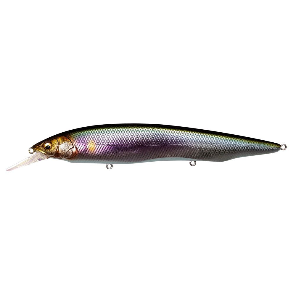 Megabass Kanata + 1