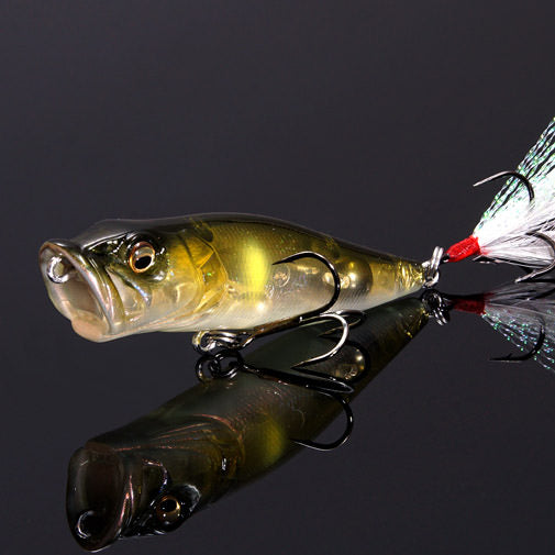 Megabass POP-X (SP-C)