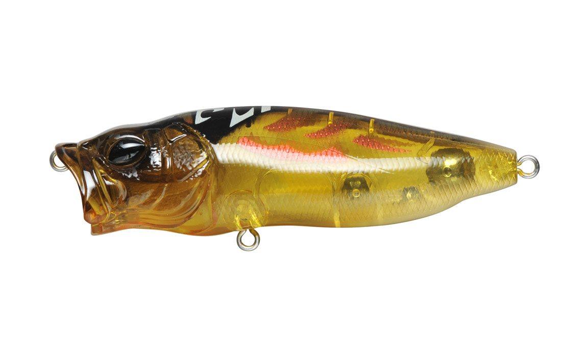 Megabass Pop Max - Cicada - The Tackle Trap