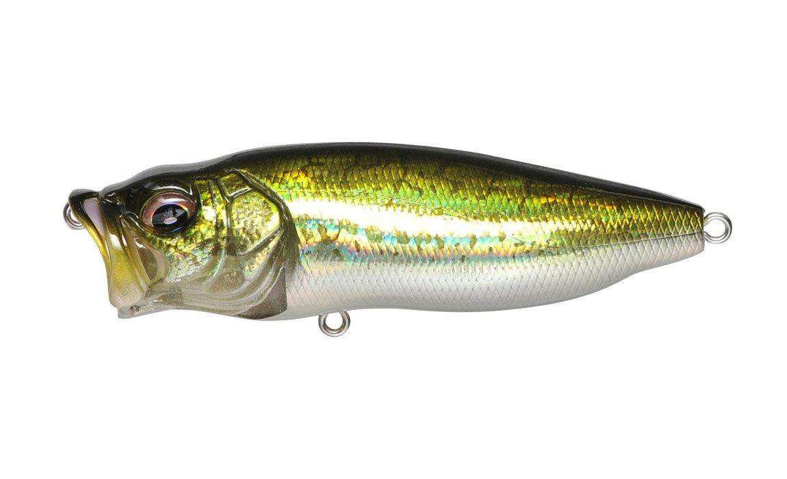 Megabass Pop Max - GG Bass - The Tackle Trap