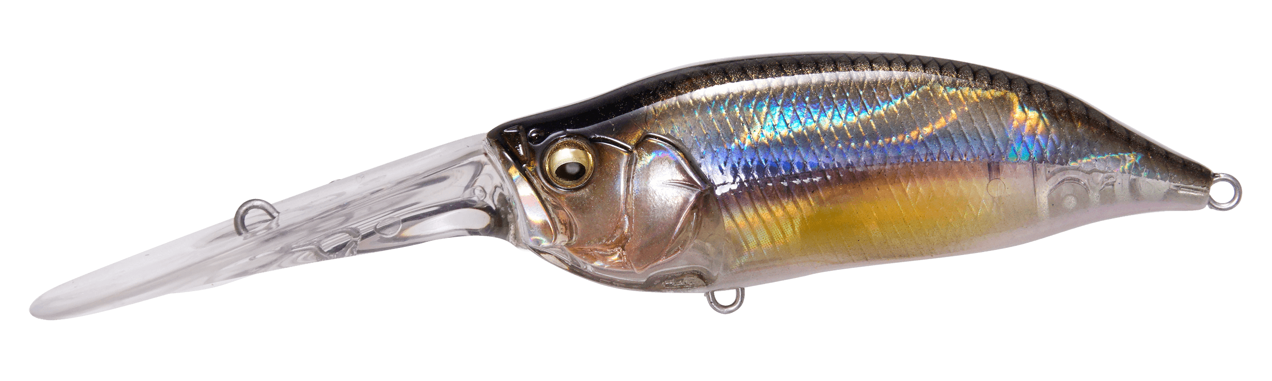 Megabass IXI Shad TX (Kasumi Ito) - The Tackle Trap