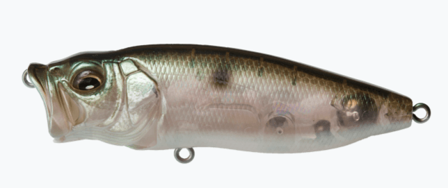 Megabass Pop Max - MB Gizzard - The Tackle Trap