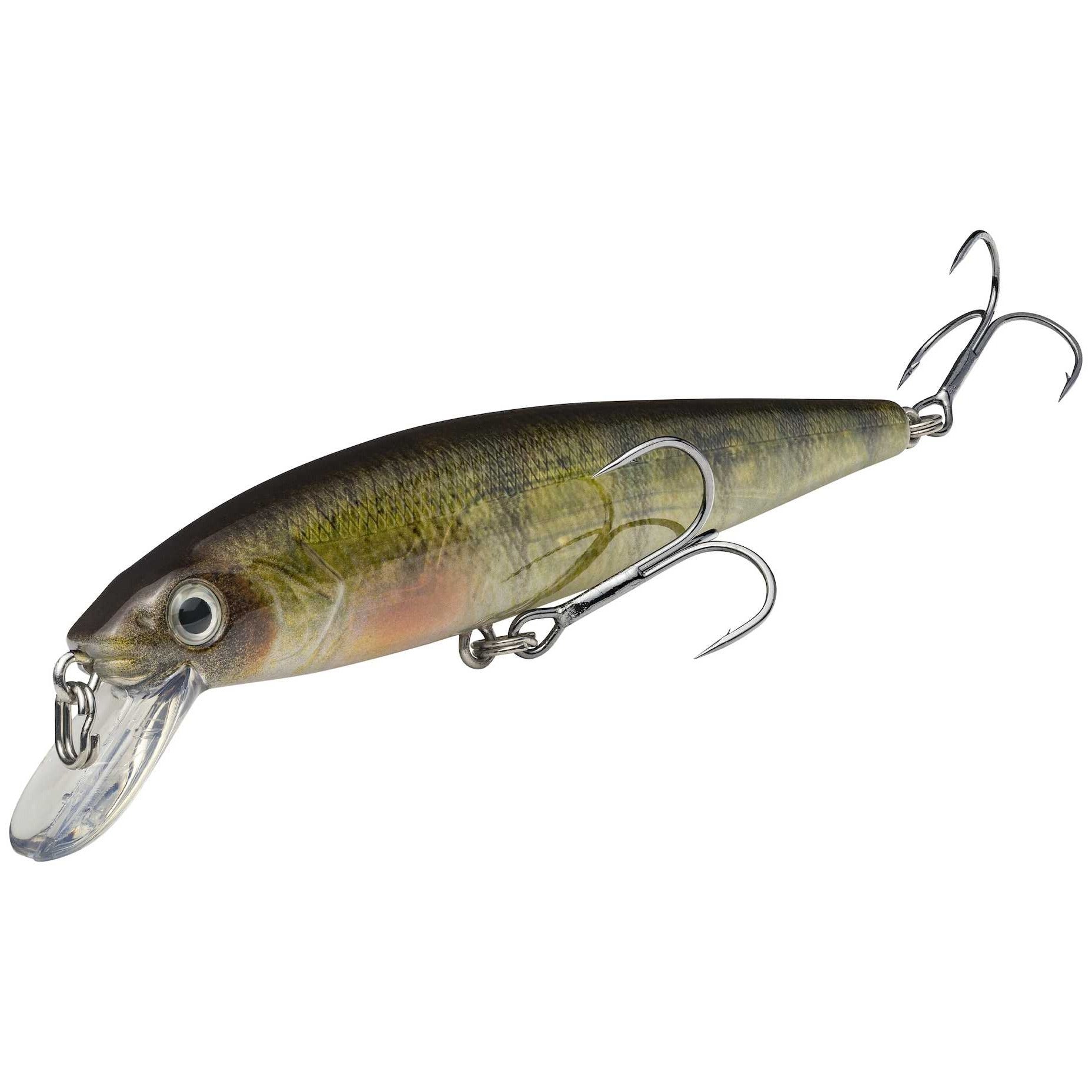 Strike King KVD Jerkbait 200