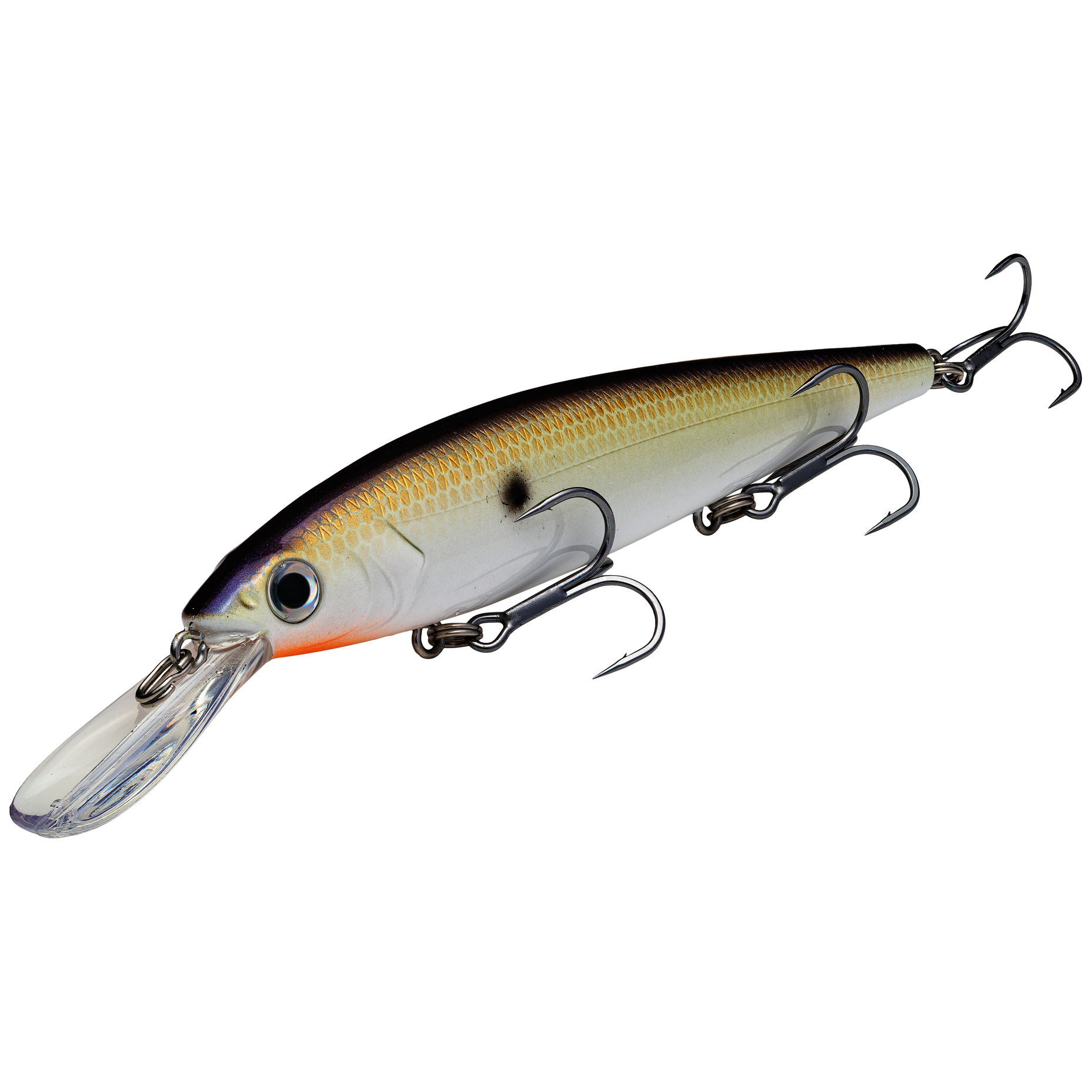 Strike King KVD Jerkbait 300 Deep