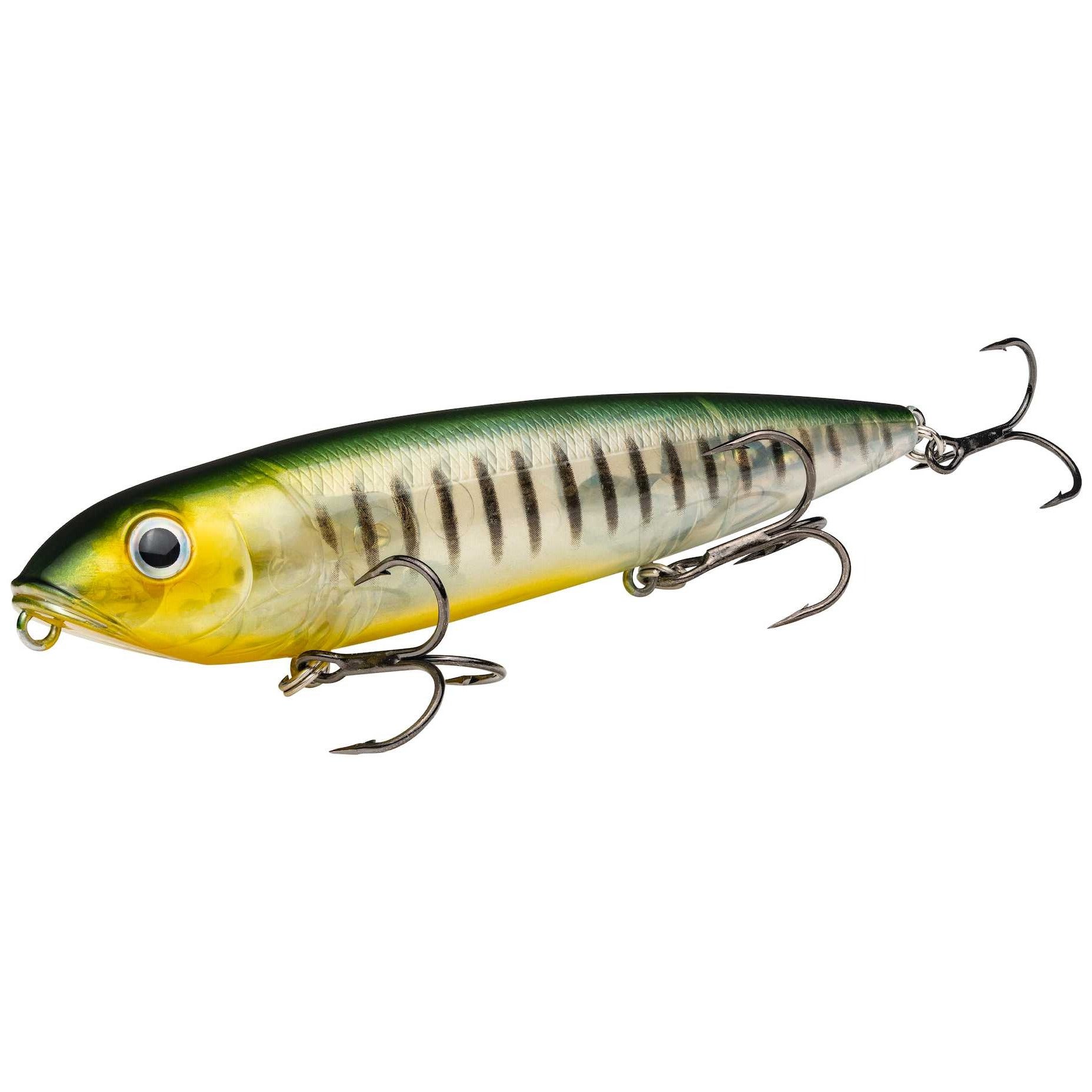 Strike King KVD Sexy Dawg Topwater