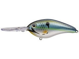 Strike King Pro Model 6XD Crankbait