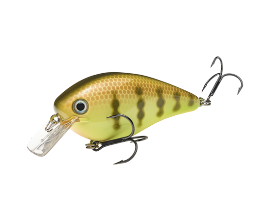 Strike King KVD Squarebill 4.0 Magnum Crankbait