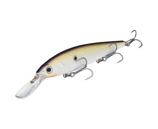 Strike King KVD Jerkbait 300 Deep
