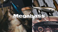 Megabass Baits