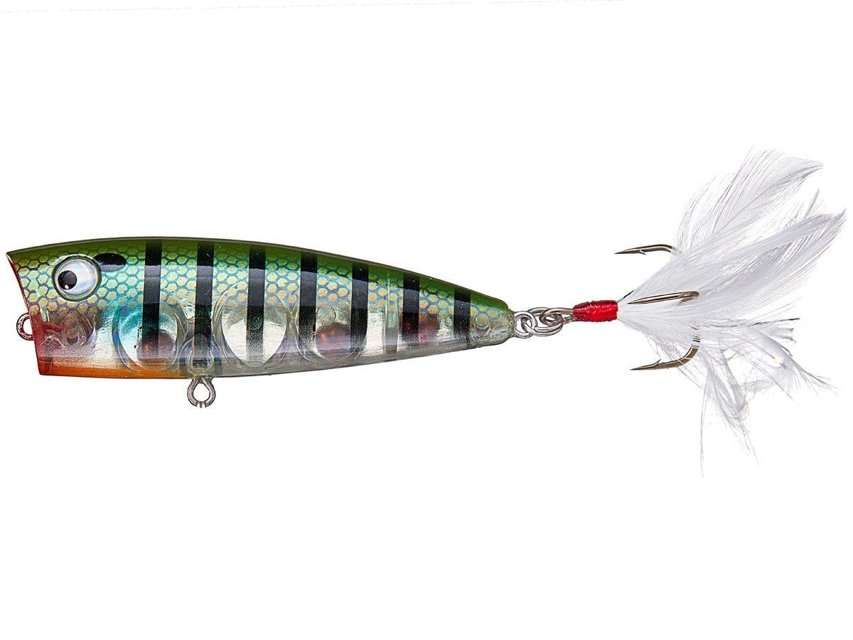 Lobina Lures Rico Popper