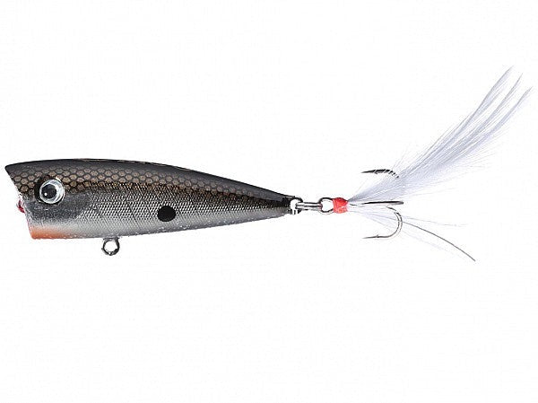 Lobina Lures Rico Popper