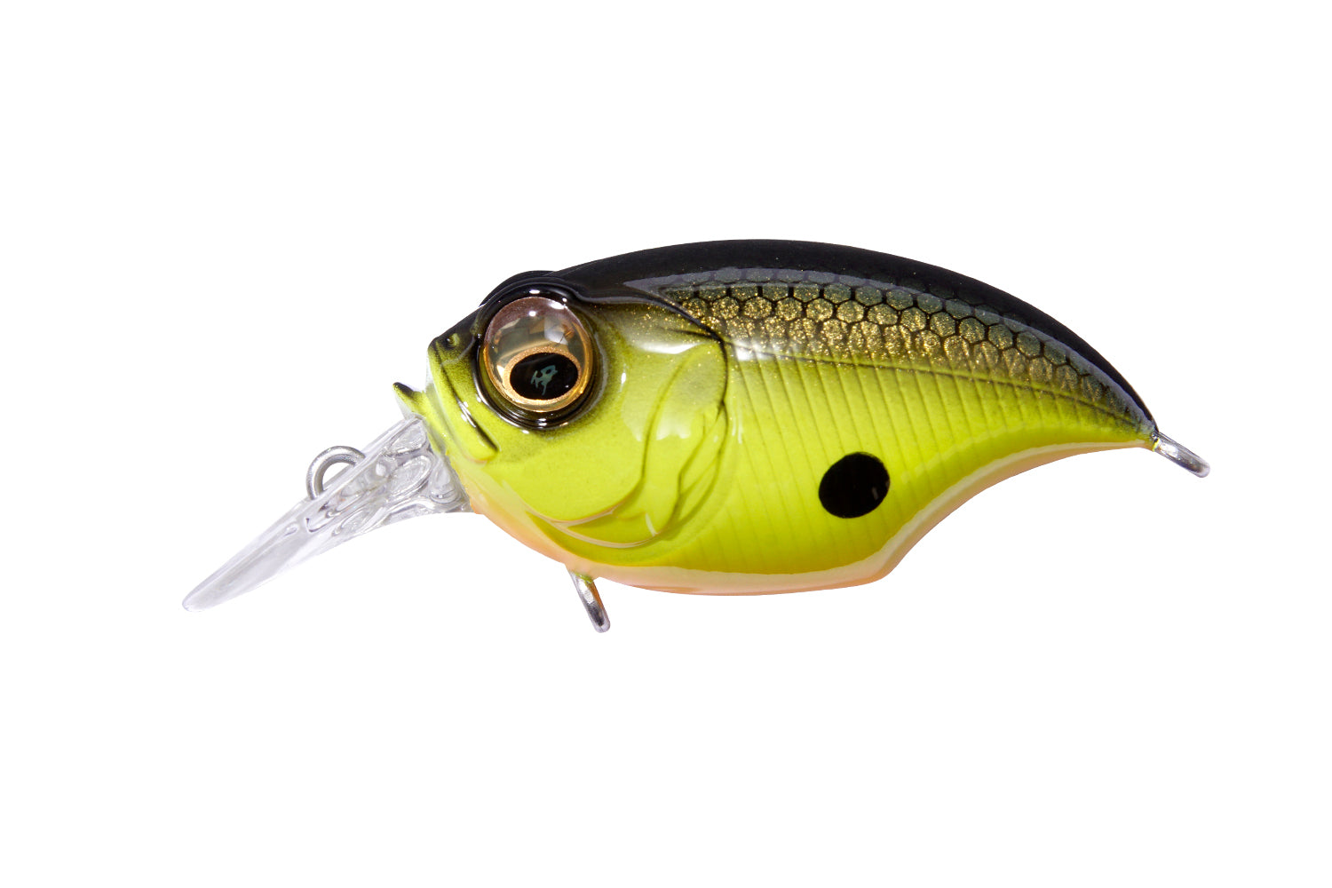 Megabass Griffon SR-X