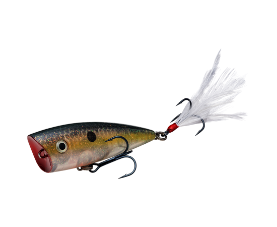 Strike King KVD Splash Popper Jr.