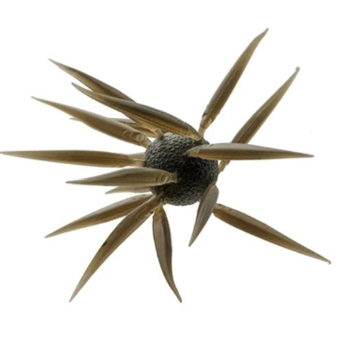 Hideup Co. Coike Fish L Elastomer
