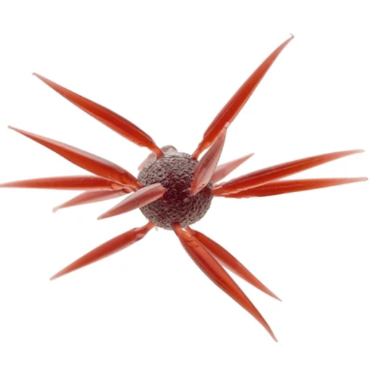 Hideup Co. Coike Fish L Elastomer