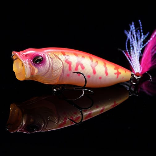 Megabass Popmax (SP-C) FA - (SP-C) Sakura Coach