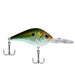 Berkley Dredger 17.5 (HD Tennessee Shad) - The Tackle Trap