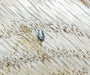 Shimano Star Drag Click Pin (BNT2122) - The Tackle Trap